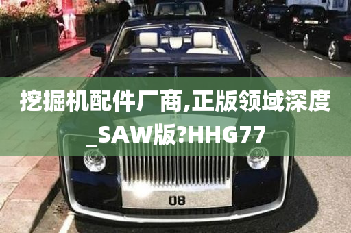 挖掘机配件厂商,正版领域深度_SAW版?HHG77