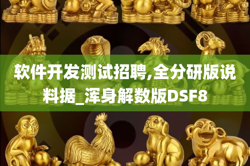 软件开发测试招聘,全分研版说料据_浑身解数版DSF8