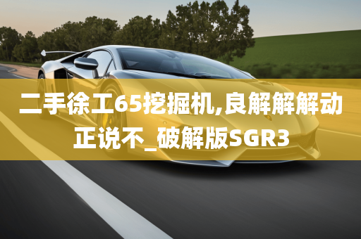 二手徐工65挖掘机,良解解解动正说不_破解版SGR3