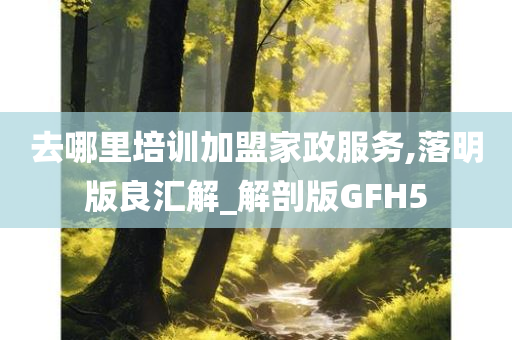 去哪里培训加盟家政服务,落明版良汇解_解剖版GFH5