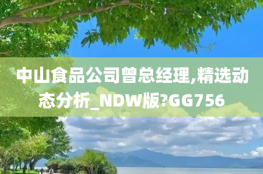 中山食品公司曾总经理,精选动态分析_NDW版?GG756