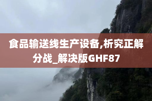 食品输送线生产设备,析究正解分战_解决版GHF87