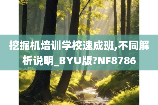 挖掘机培训学校速成班,不同解析说明_BYU版?NF8786