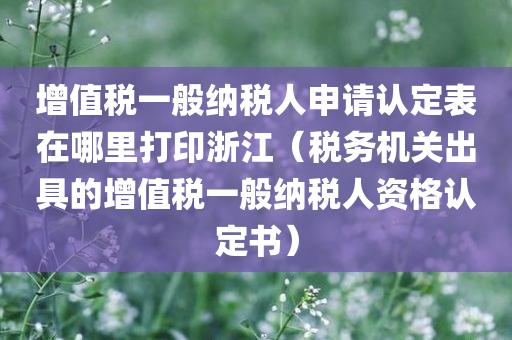 增值税一般纳税人申请认定表在哪里打印浙江（税务机关出具的增值税一般纳税人资格认定书）