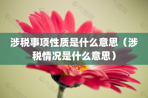 涉税事项性质是什么意思（涉税情况是什么意思）