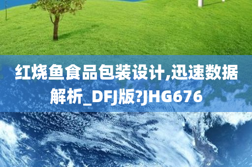 红烧鱼食品包装设计,迅速数据解析_DFJ版?JHG676