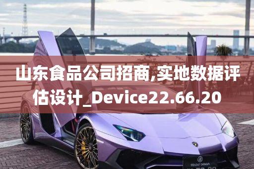 山东食品公司招商,实地数据评估设计_Device22.66.20