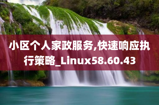 小区个人家政服务,快速响应执行策略_Linux58.60.43