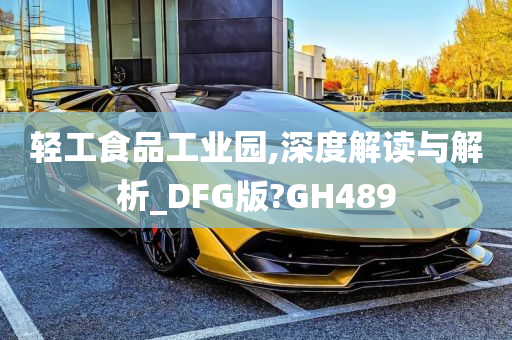 轻工食品工业园,深度解读与解析_DFG版?GH489