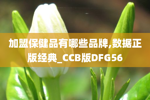 加盟保健品有哪些品牌,数据正版经典_CCB版DFG56