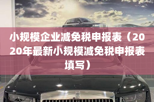 小规模企业减免税申报表（2020年最新小规模减免税申报表填写）