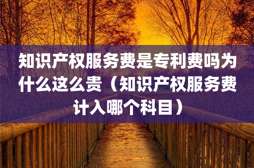 知识产权服务费是专利费吗为什么这么贵（知识产权服务费计入哪个科目）