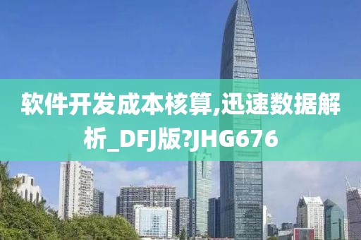 软件开发成本核算,迅速数据解析_DFJ版?JHG676