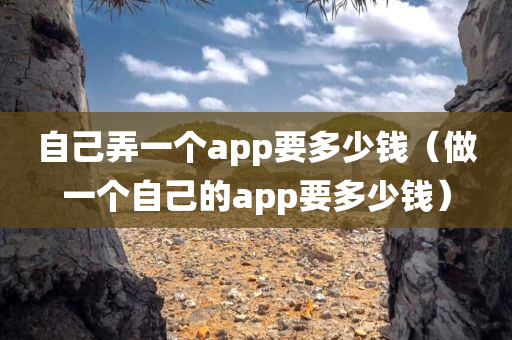 自己弄一个app要多少钱（做一个自己的app要多少钱）