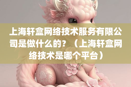 上海轩盒网络技术服务有限公司是做什么的？（上海轩盒网络技术是哪个平台）