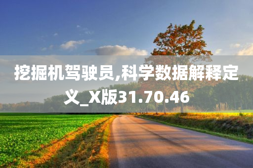 挖掘机驾驶员,科学数据解释定义_X版31.70.46