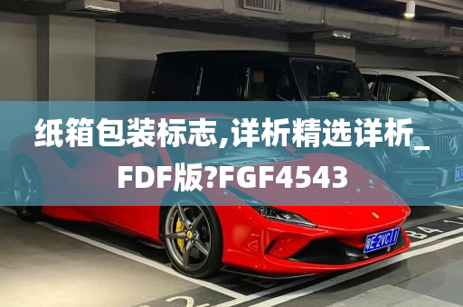 纸箱包装标志,详析精选详析_FDF版?FGF4543