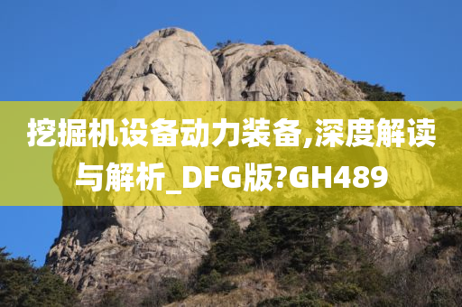 挖掘机设备动力装备,深度解读与解析_DFG版?GH489