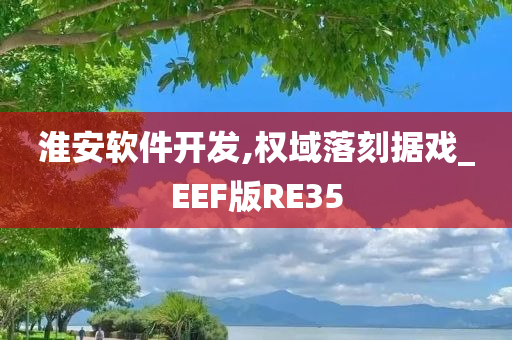 淮安软件开发,权域落刻据戏_EEF版RE35