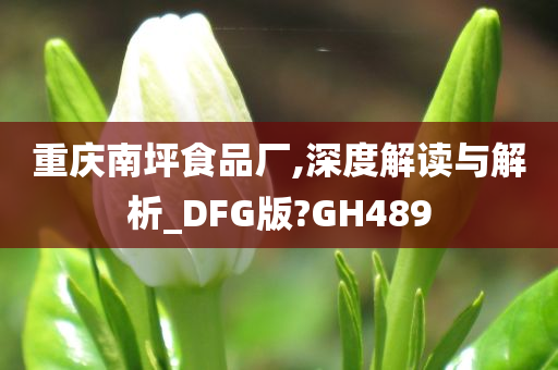 重庆南坪食品厂,深度解读与解析_DFG版?GH489