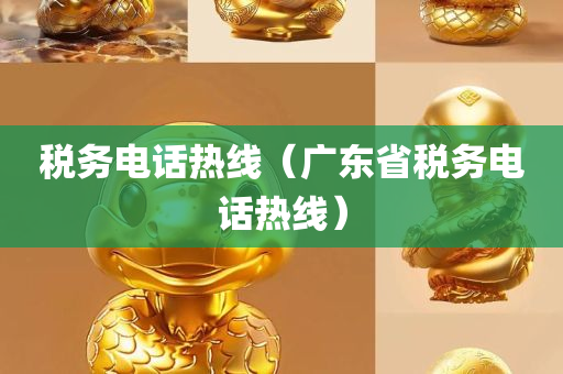 税务电话热线（广东省税务电话热线）