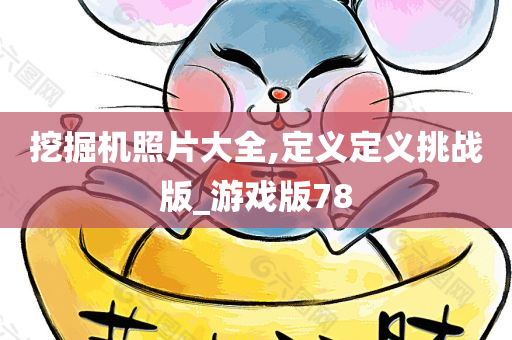 挖掘机照片大全,定义定义挑战版_游戏版78