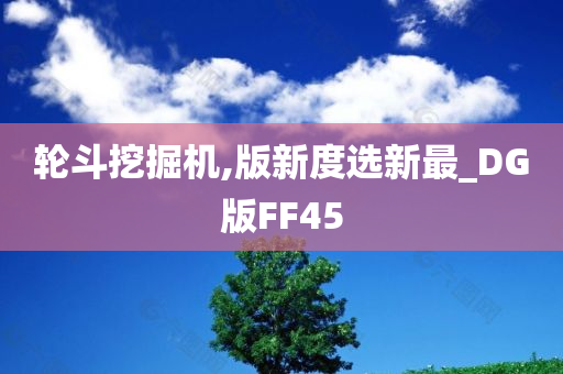 轮斗挖掘机,版新度选新最_DG版FF45