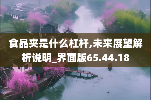 食品夹是什么杠杆,未来展望解析说明_界面版65.44.18