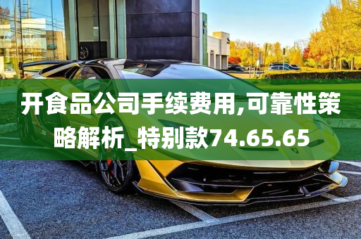 开食品公司手续费用,可靠性策略解析_特别款74.65.65