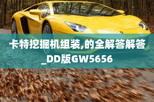 卡特挖掘机组装,的全解答解答_DD版GW5656