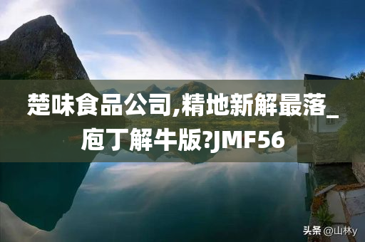 楚味食品公司,精地新解最落_庖丁解牛版?JMF56