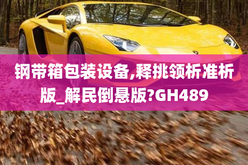 钢带箱包装设备,释挑领析准析版_解民倒悬版?GH489