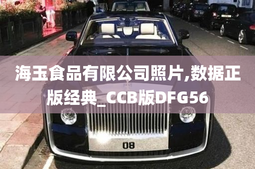 海玉食品有限公司照片,数据正版经典_CCB版DFG56