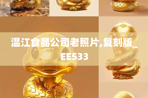 温江食品公司老照片,复刻版_EE533