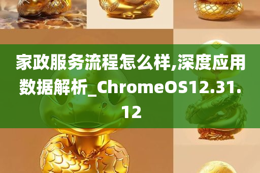 家政服务流程怎么样,深度应用数据解析_ChromeOS12.31.12