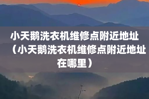 小天鹅洗衣机维修点附近地址（小天鹅洗衣机维修点附近地址在哪里）