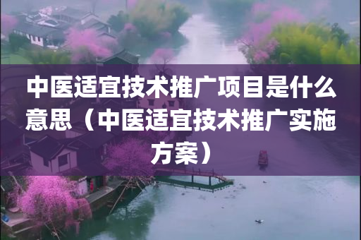 中医适宜技术推广项目是什么意思（中医适宜技术推广实施方案）