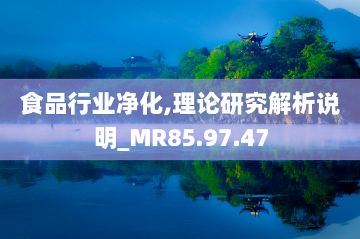 食品行业净化,理论研究解析说明_MR85.97.47