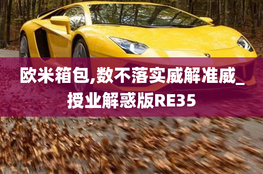 欧米箱包,数不落实威解准威_授业解惑版RE35