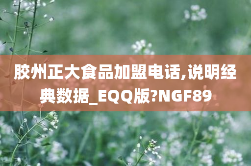 胶州正大食品加盟电话,说明经典数据_EQQ版?NGF89