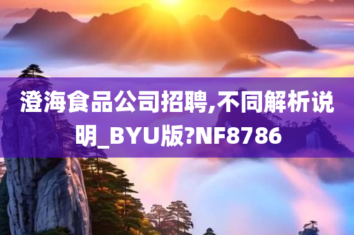 澄海食品公司招聘,不同解析说明_BYU版?NF8786