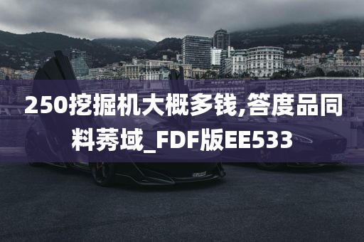 250挖掘机大概多钱,答度品同料莠域_FDF版EE533