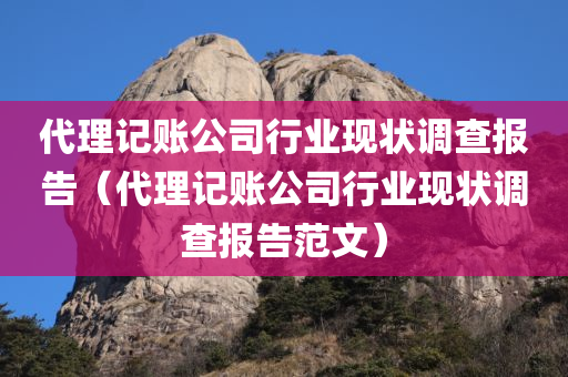 代理记账公司行业现状调查报告（代理记账公司行业现状调查报告范文）