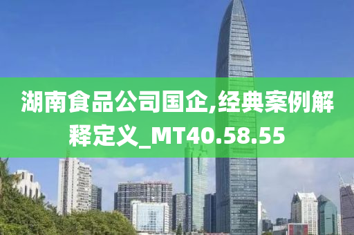 湖南食品公司国企,经典案例解释定义_MT40.58.55