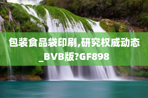 包装食品袋印刷,研究权威动态_BVB版?GF898