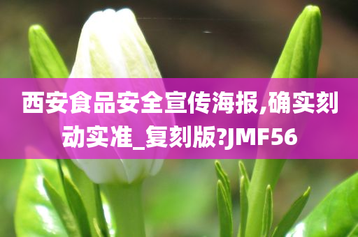 西安食品安全宣传海报,确实刻动实准_复刻版?JMF56