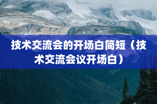 技术交流会的开场白简短（技术交流会议开场白）