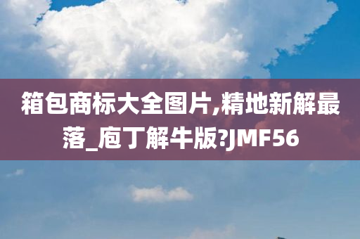 箱包商标大全图片,精地新解最落_庖丁解牛版?JMF56