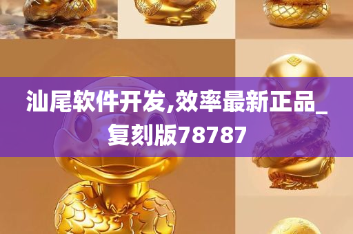 汕尾软件开发,效率最新正品_复刻版78787