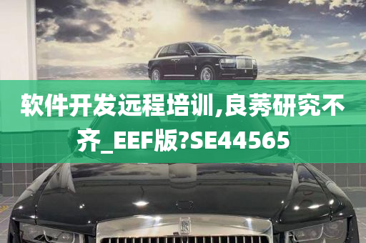 软件开发远程培训,良莠研究不齐_EEF版?SE44565